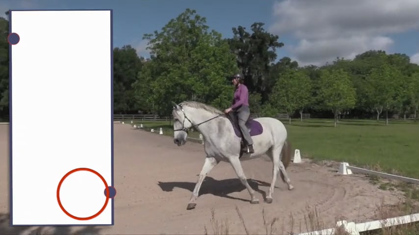 A Pattern: Coordinating Leg Yields and Canter - June 2020