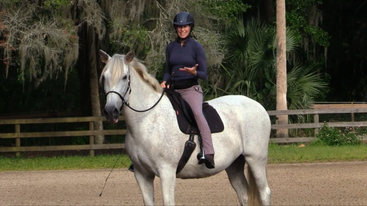 Pressure Release Reward When Riding - July 2022