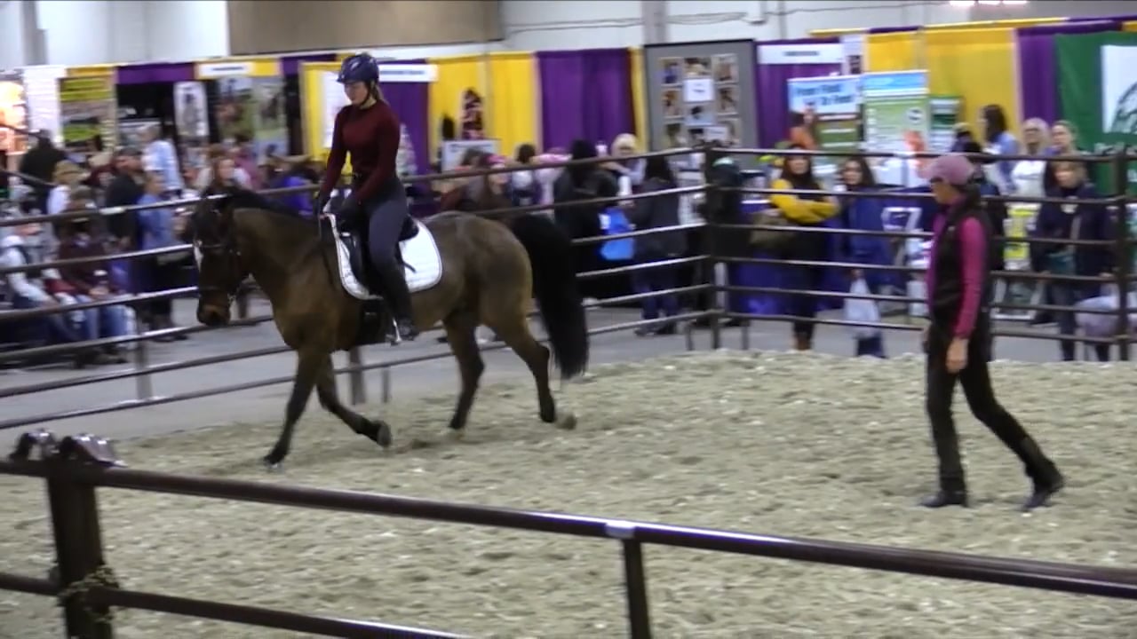 All About Contact Equine Affaire Part 2 - Jan 2022