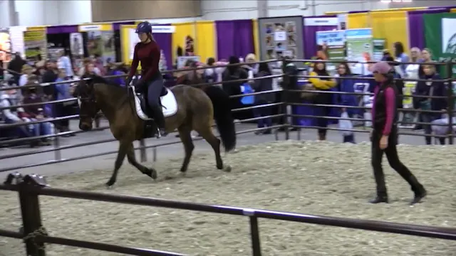All About Contact Equine Affaire Part...