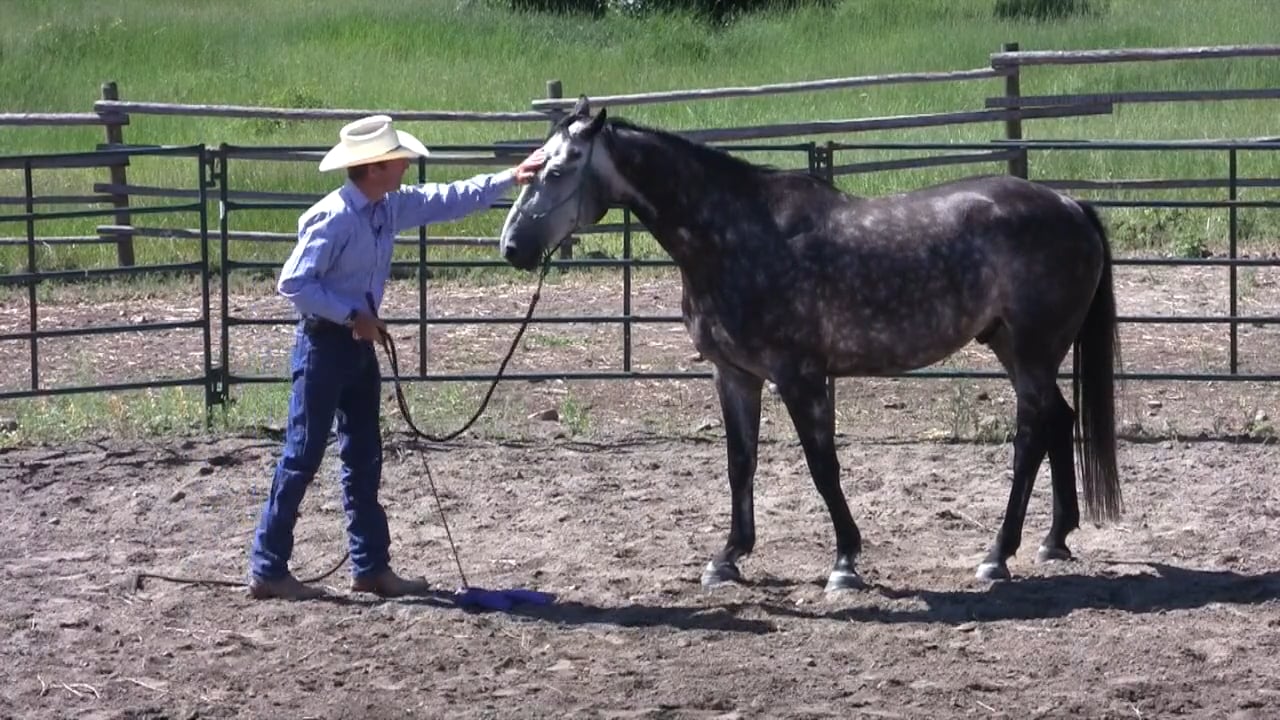 Jonathan Field "6 C's" Part 1: Discussion & Groundwork - Aug 2013