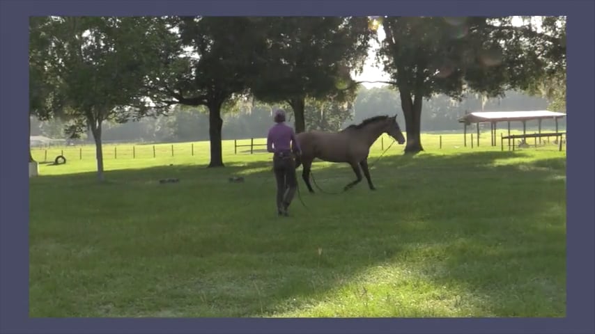 Alternating Between Exercises - Aug 2020