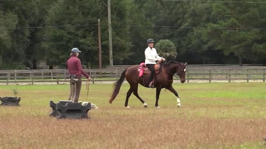 Exercise For Beginning Engagement - Dec 2019