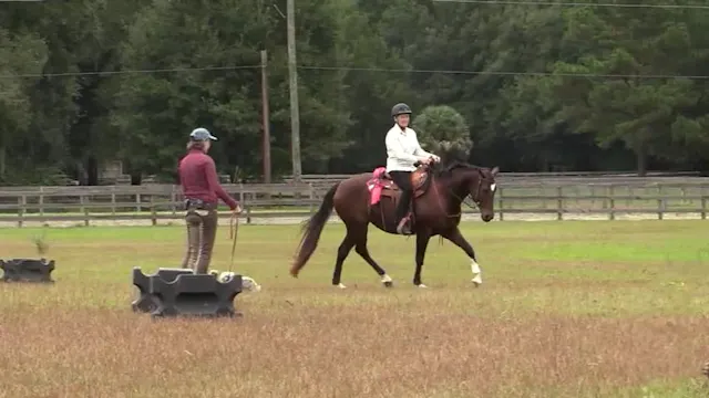 Exercise For Beginning Engagement - D...