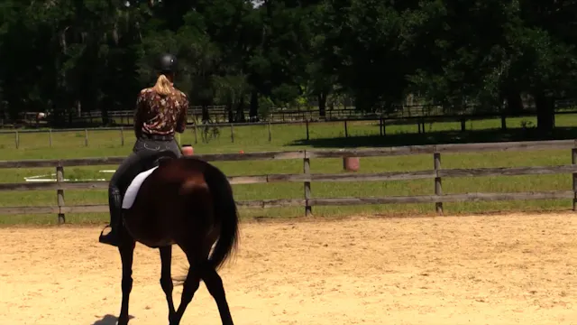 Teaching Hindquarter Yield In Motion ...