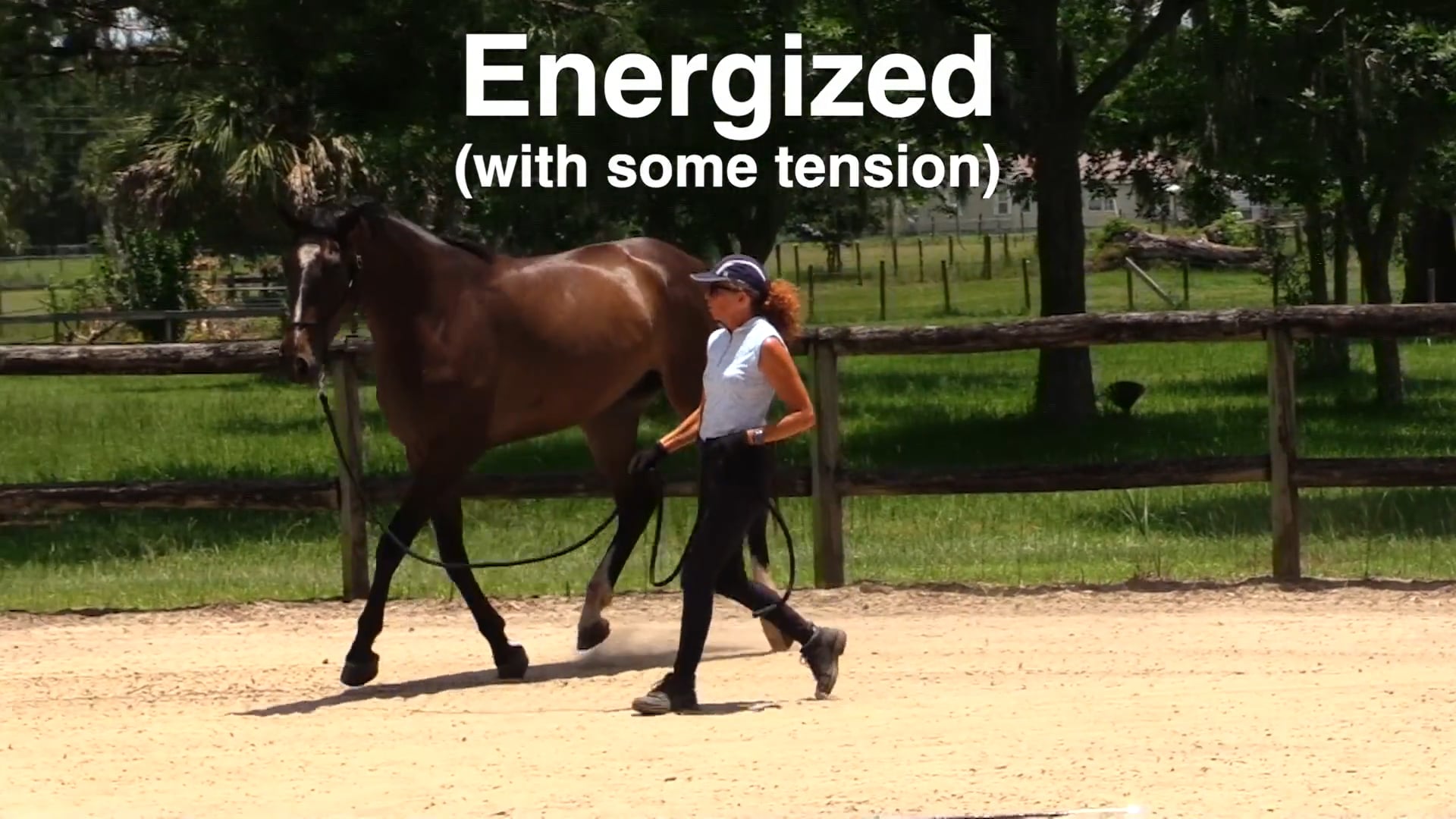 Little Bell Curves Of Energy & Relaxation - July 2025