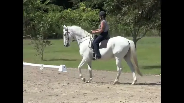Alignment - Barbara and Ponce - Nov 2010