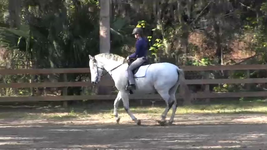 Bend and Counterbend Exercise at Canter with Natilla - Jan 2018