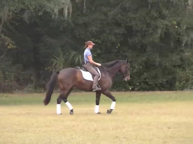 Beginning to Re-balance - Duncan - March 2011