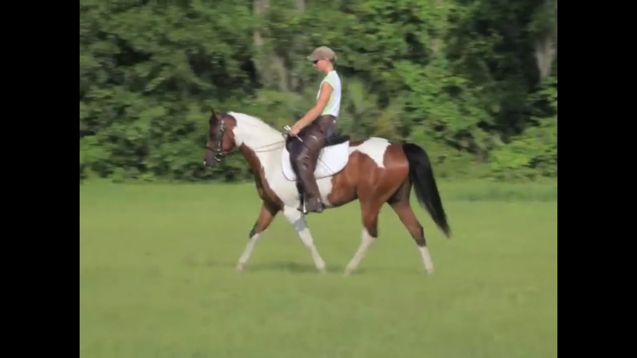 A Transformation of the Connection With The Reins - Sept 2010