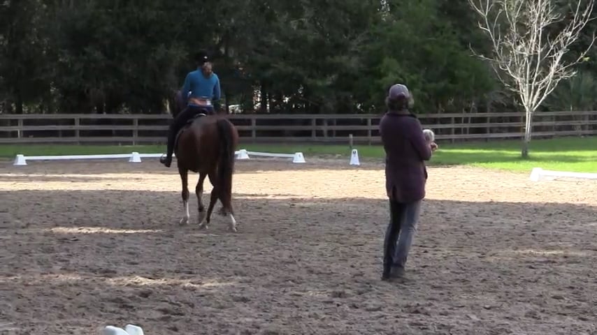 An Exercise For Creating Bend In Haunches In - Feb 2020