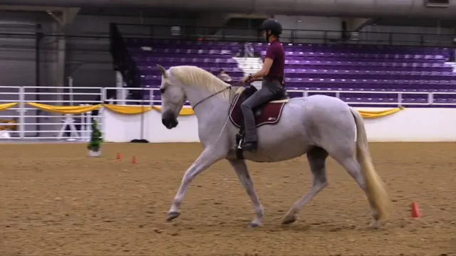 Introduction to Bridleless Demo - Nov...
