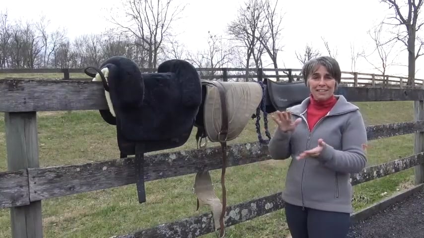 Tips For Starting To Ride Bareback with Shelby Hume - Jan 2020