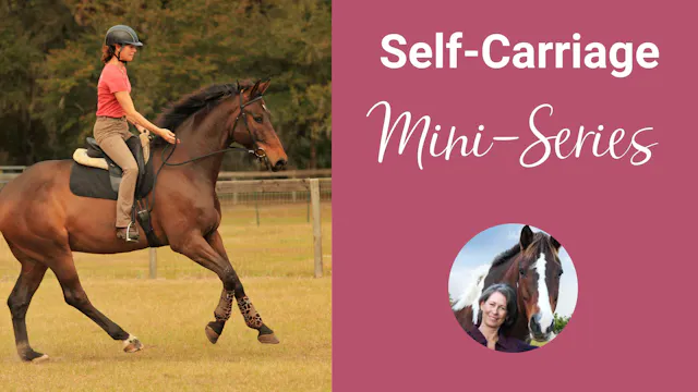 Self Carriage Mini-Series