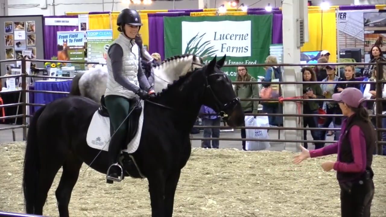 All About Contact Equine Affaire Part 1 - Dec 2021