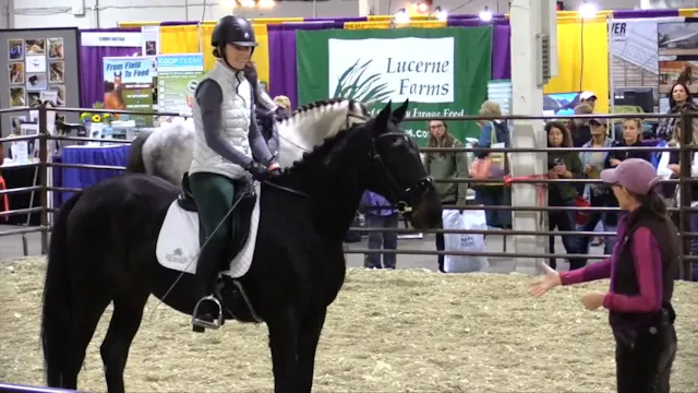All About Contact Equine Affaire Part...