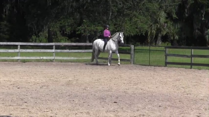 Karen Narrates A Ride On Natilla with Moderate Collectibility - July 2019