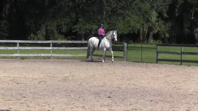 Karen Narrates A Ride On Natilla with...