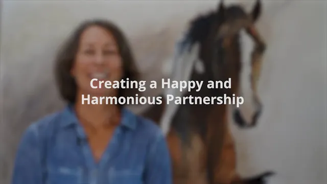 Hats Video 2 Creating H+H partnership