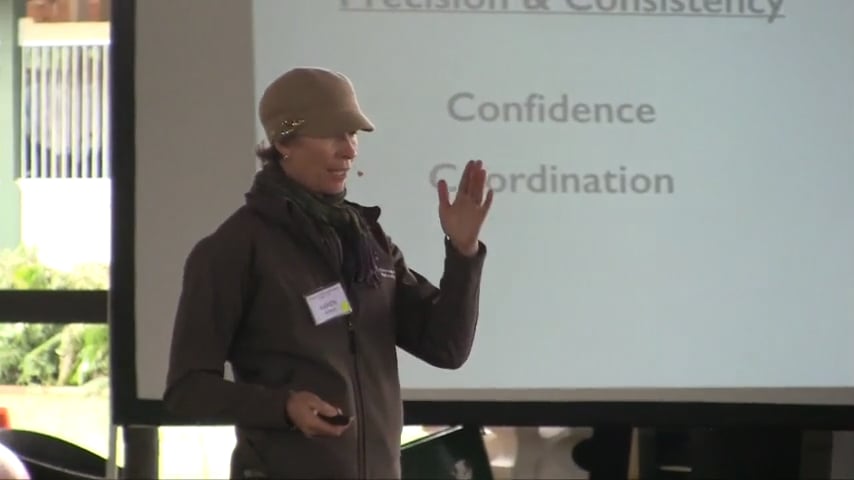 Precision and Play Presentation - Mar 2017