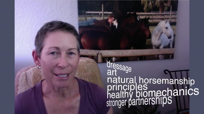 Dressage Naturally Partnership - Mar 2016