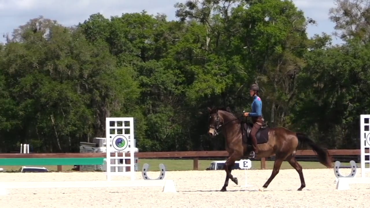 Shoulder In To Canter Exercise (BEGI) - April 2022