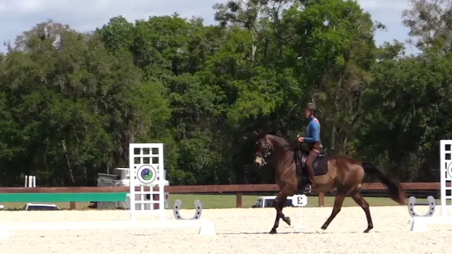 Shoulder In To Canter Exercise (BEGI)...