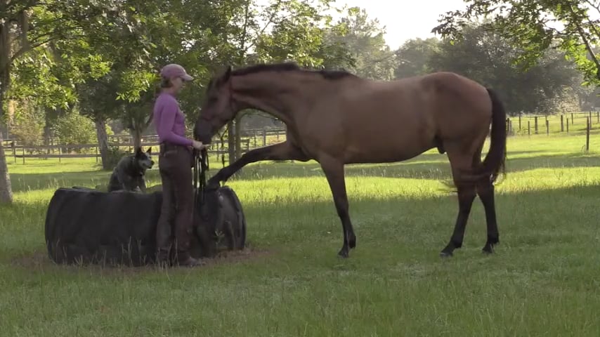 Beginning Jambette with Teo - Aug 2020