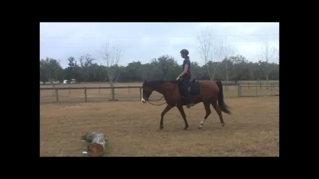 Posture and Partnership Riding - Marc...
