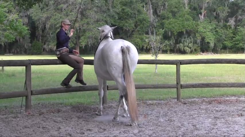 Teaching Sideways Towards - June 2019