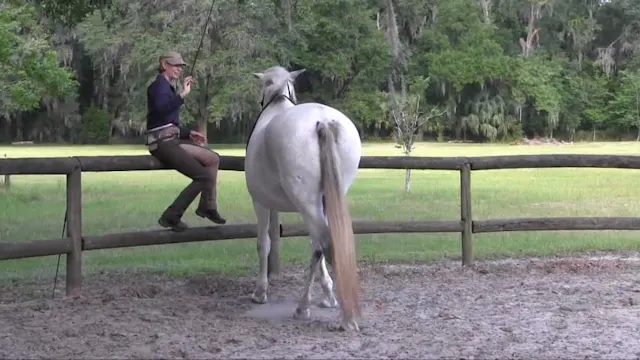 Teaching Sideways Towards - June 2019