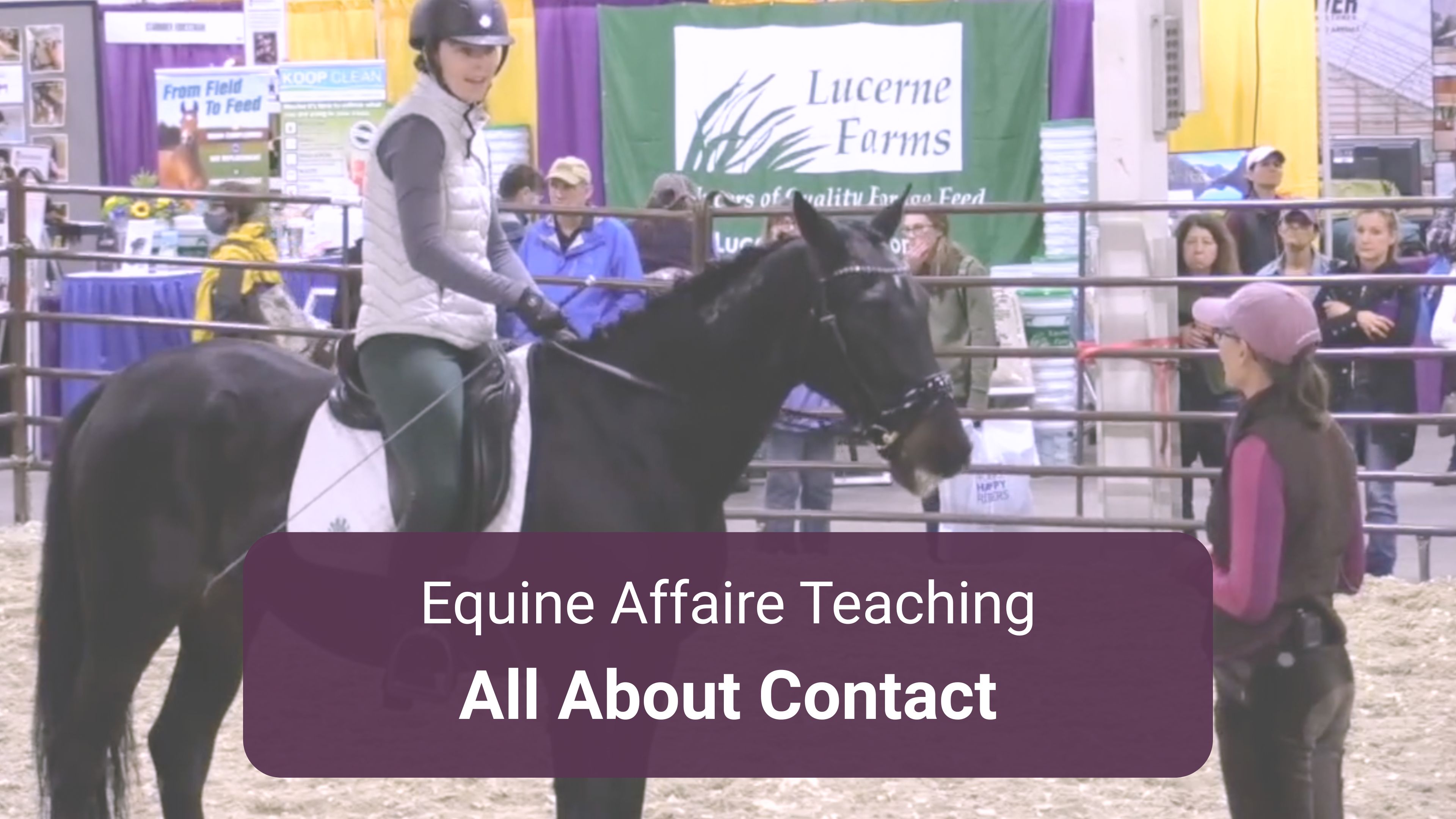 All About Contact Demo at Equine Affaire