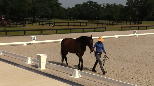 Practicing Patterns Ground Work - May...