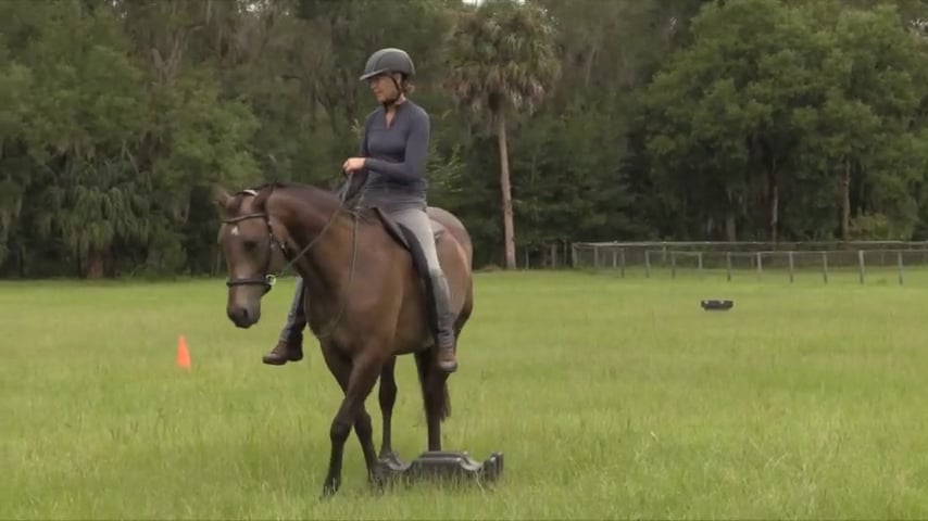 Exercise: Yielding Around Obstacles - Sept 2020
