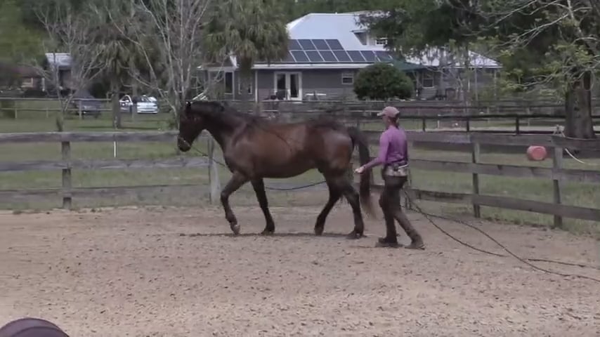 Teo Long Lining In The Arena - May 2021