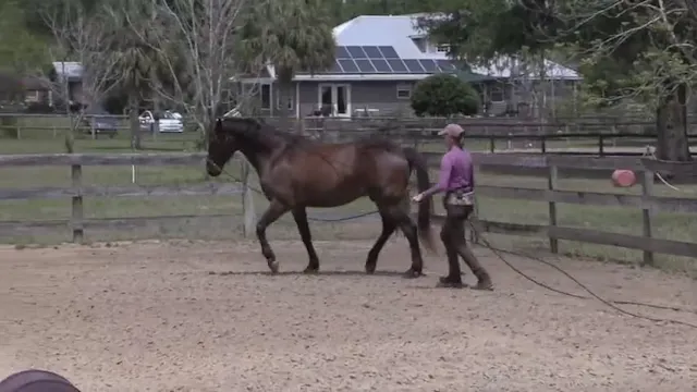 Teo Long Lining In The Arena - May 2021