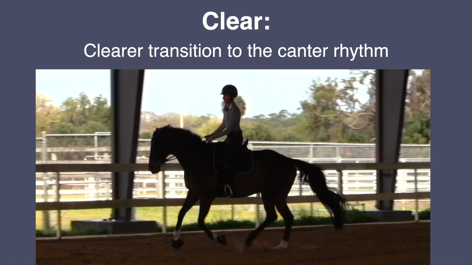 Clearer Canter Departs In 26 Seconds-June 2026