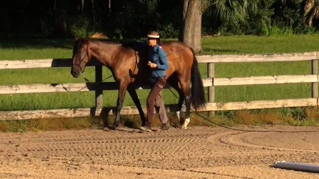 Leading Preparation For Riding with Q...