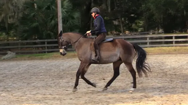 Frequent Transitions Exercises - Feb ...