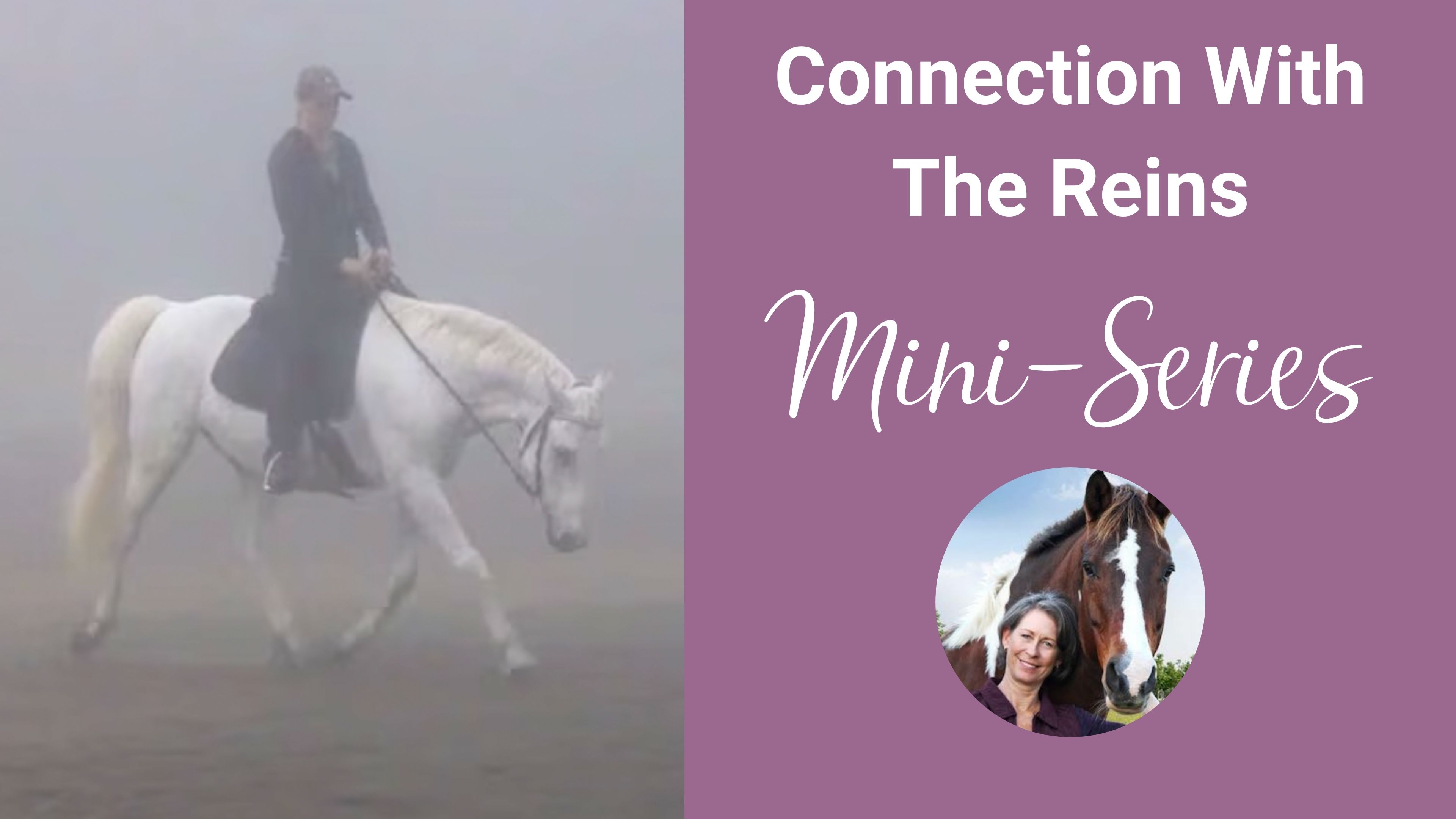 Connection With the Reins Mini-Series