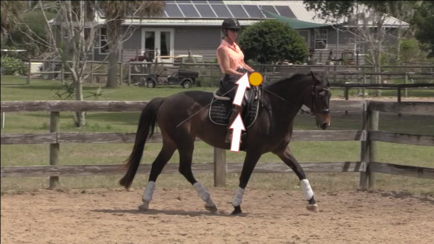 Shortening Your Reins To Allow Collection - June 2021