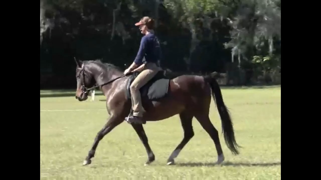 Beginning Lateral Work With Atomic - Dec 2010