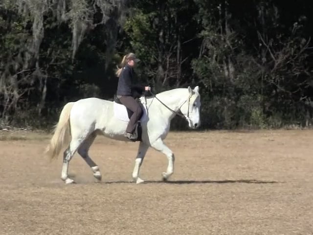 Transformation of Rider Position - Apr 2011