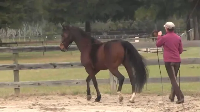 Long Line Exercises - Feb 2015