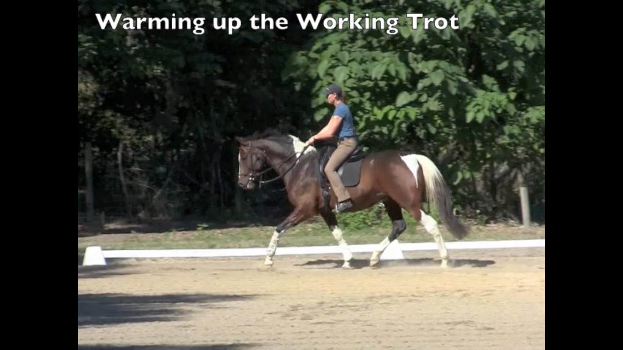 Different Trots - Ovation - Dec 2010