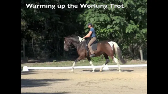 Different Trots - Ovation - Dec 2010