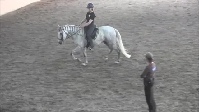 Relaxation In Movement Via Forward-Th...