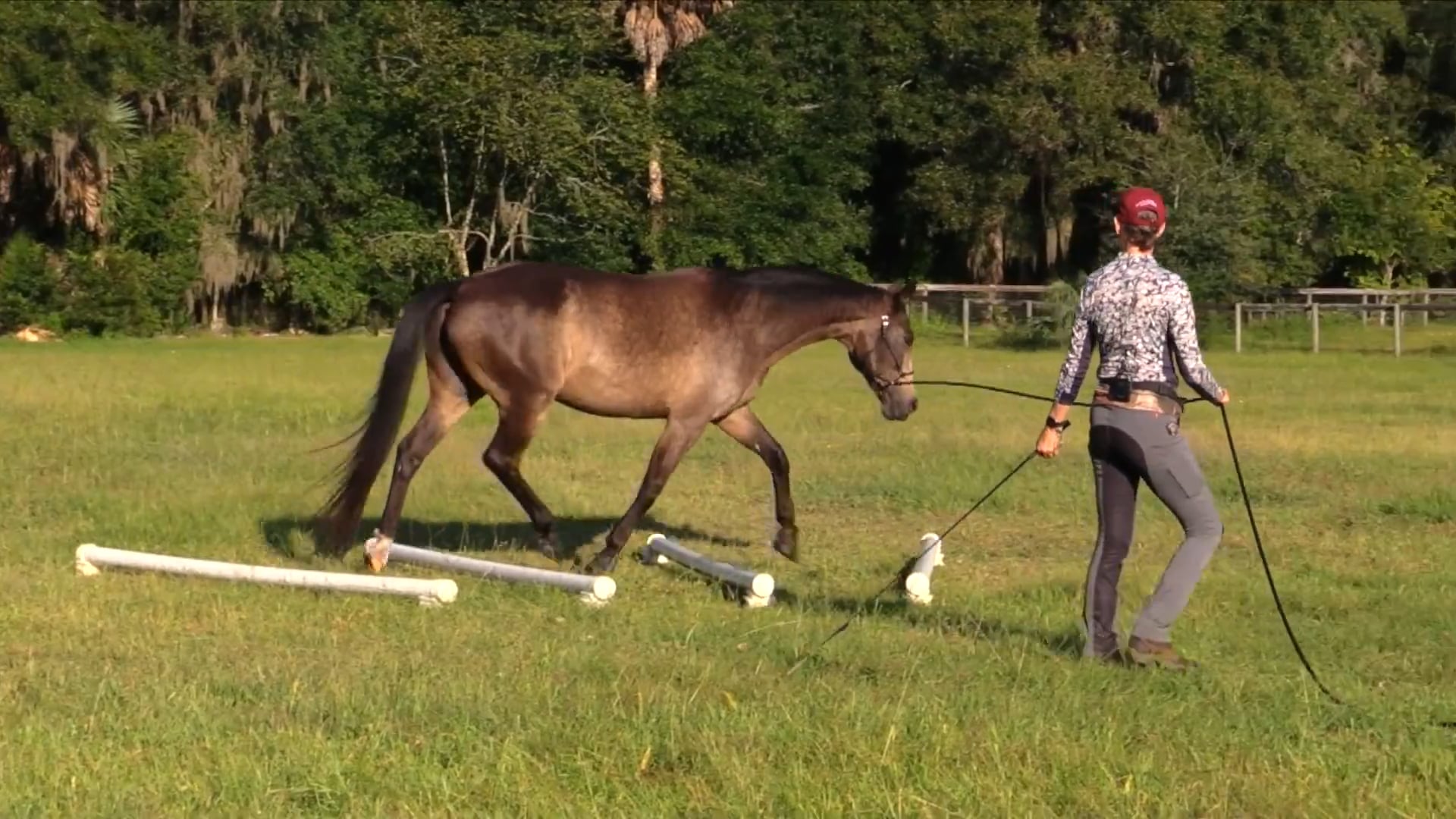 Cavaletti Transition Challenge September 2026