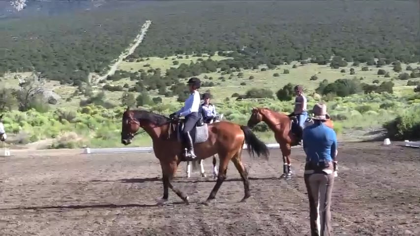 Starting Basic Alignment Exercise with Rhonda - Sept 2019