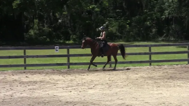 Quick Tip for Counter Canter - July 2012